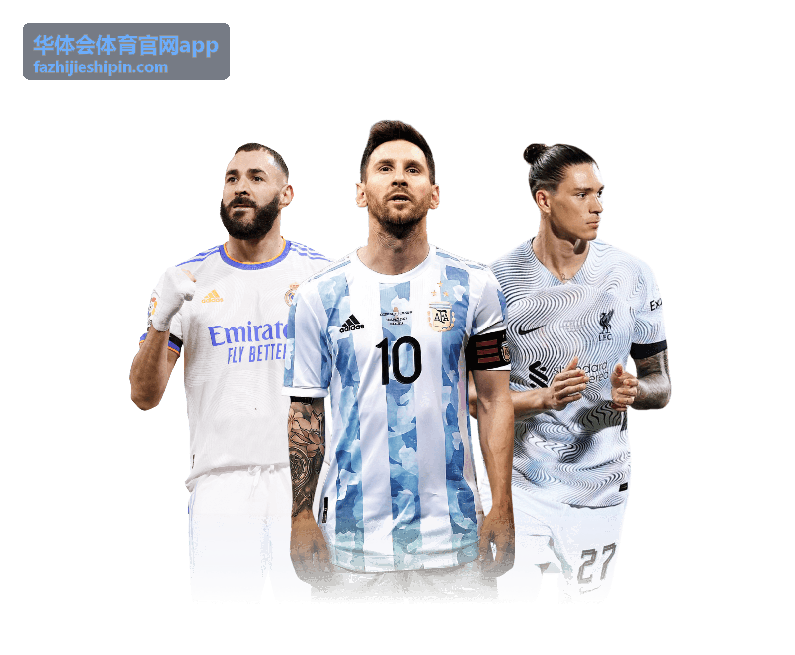 华体会体育官网app 电竞赛程速览栏目封面