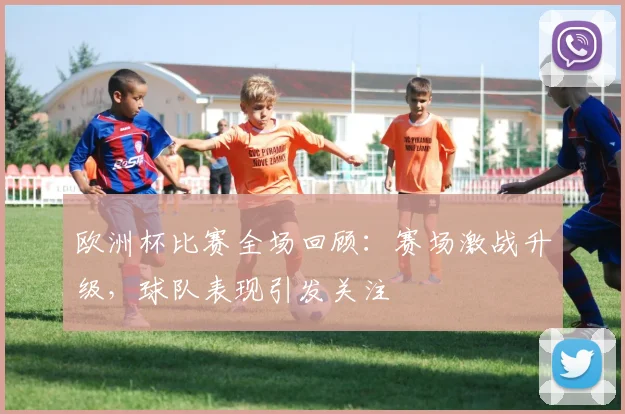 欧洲杯比赛全场回顾:赛场激战升级,球队表现引发关注
